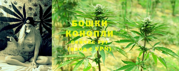 индика Нея