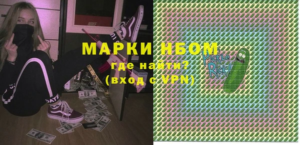 индика Нея