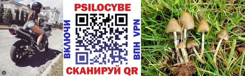 Галлюциногенные грибы мухоморы  Поронайск 